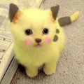 kawaii__neko