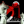 dany23_la (118)