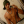 Alex_Alves (71)