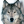 Wolf115 (71)