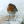 _Robin_ (118)