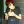firmanfirefox (139)