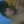 josias_ (27)