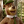 YogiBear (25)