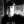 Leo_1900 (68)