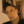 SkiLLeXx (25)